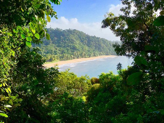 Clump Mountain National Park